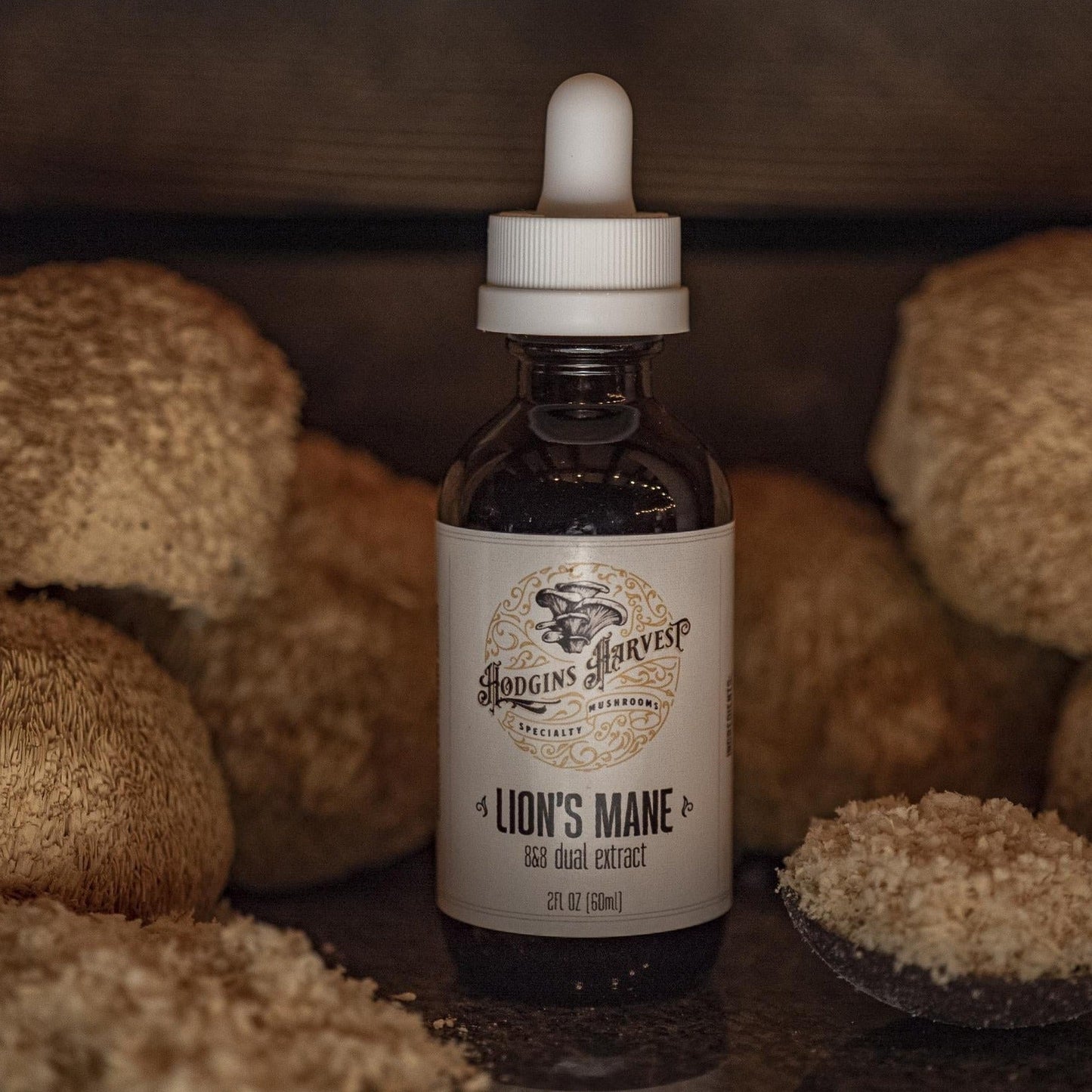 Lion's Mane Dual Extract Tincture