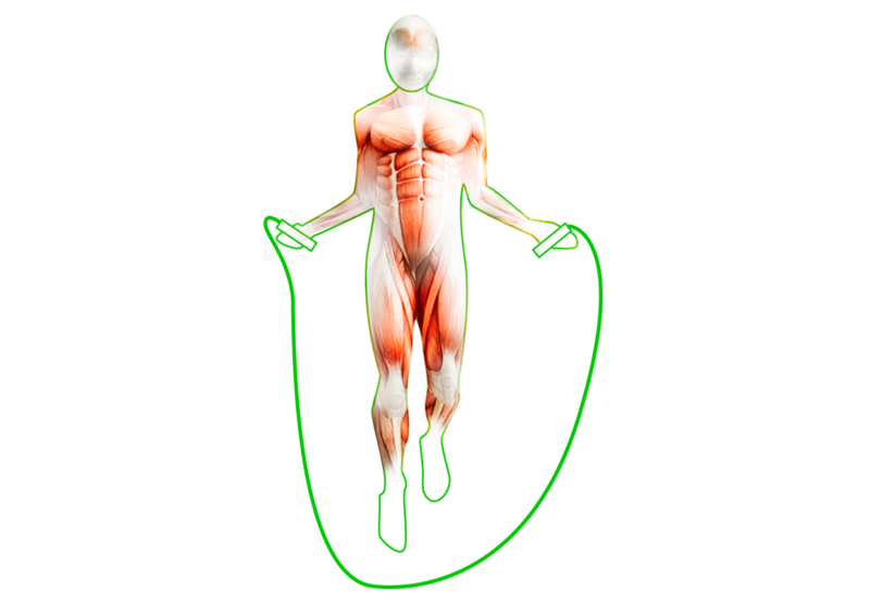PBLX Weighted Jump Rope