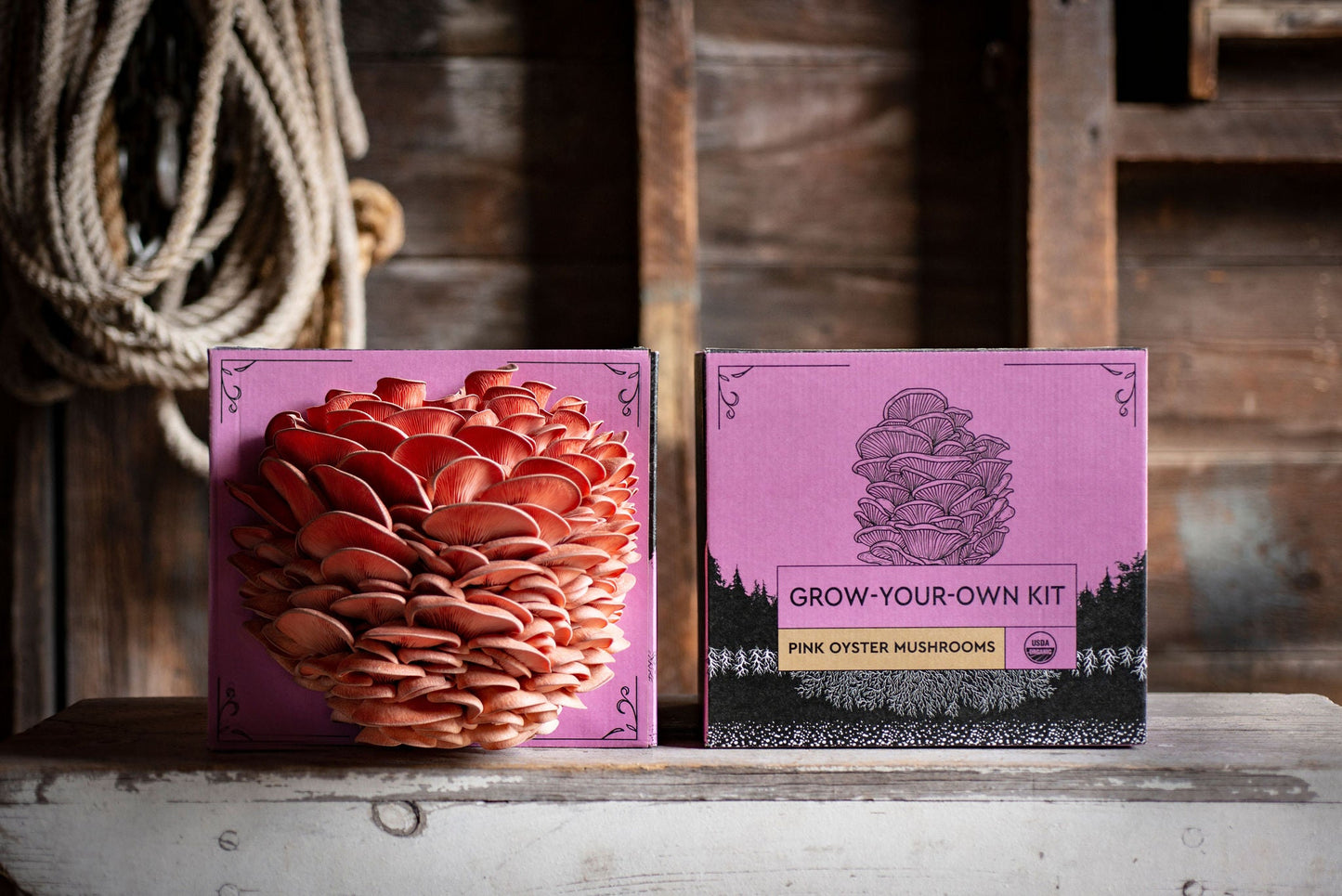 3-Pack of Organic Mushroom Grow Kits